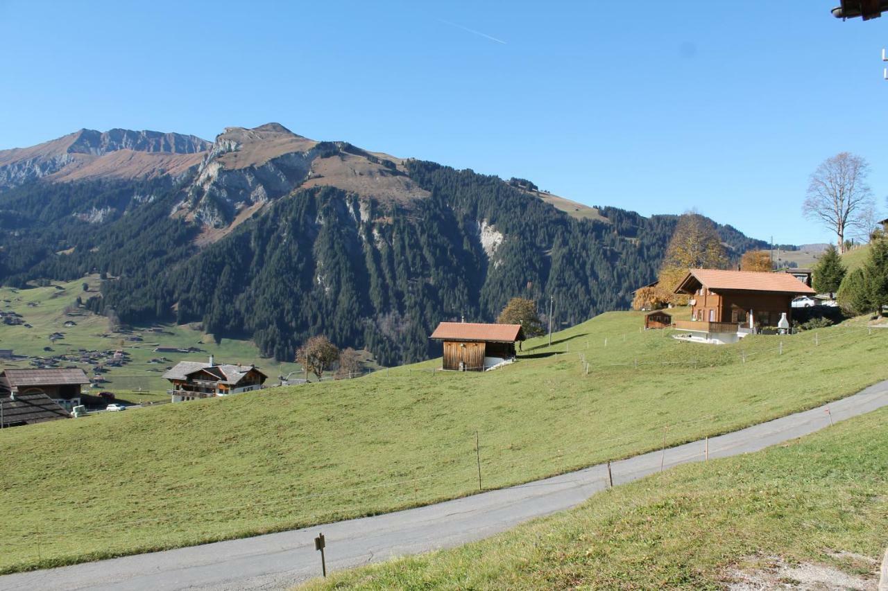 Chalet Weissenberg لينك المظهر الخارجي الصورة